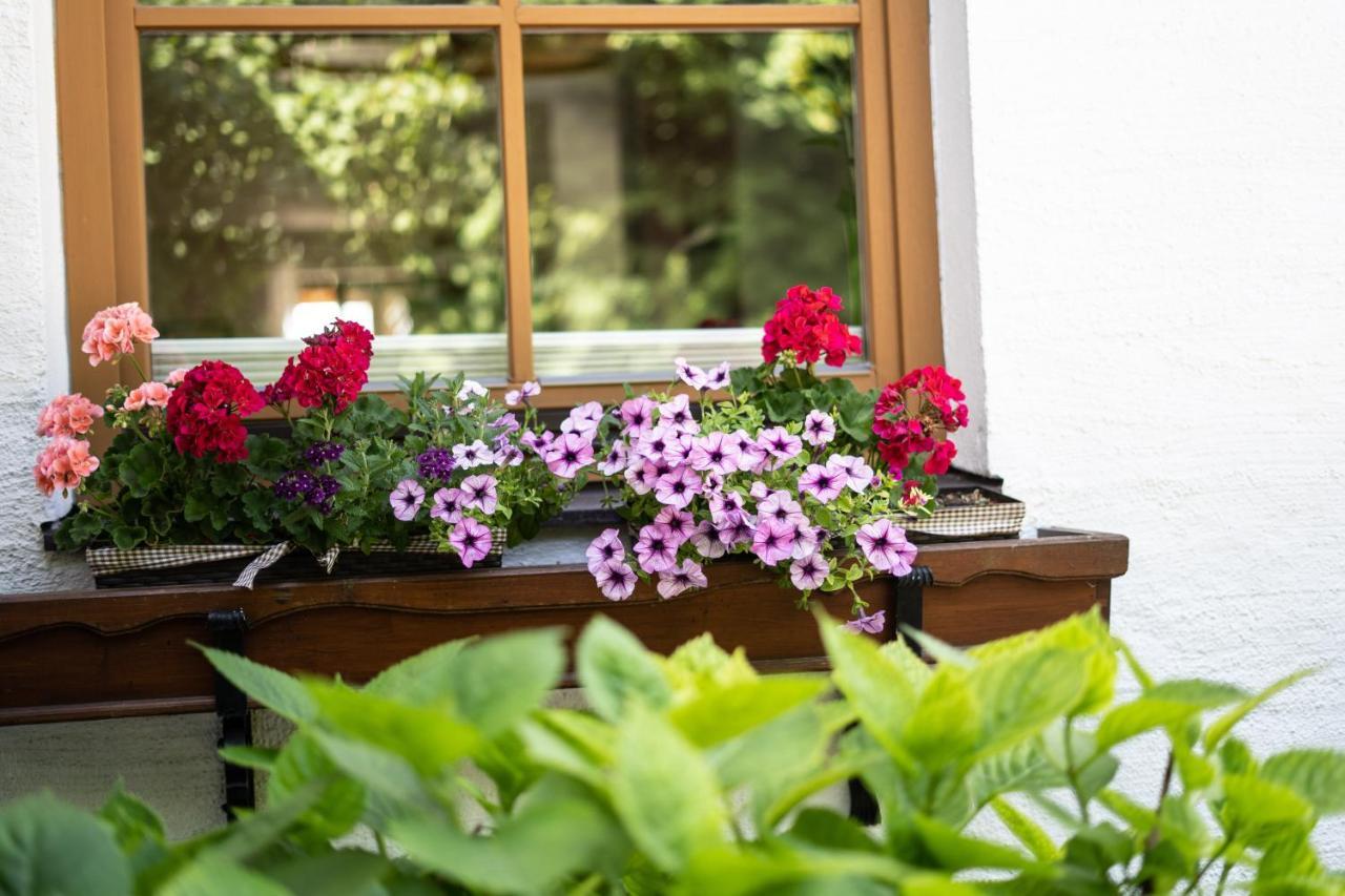 Apartment Salzburg City&Lake Elixhausen ภายนอก รูปภาพ
